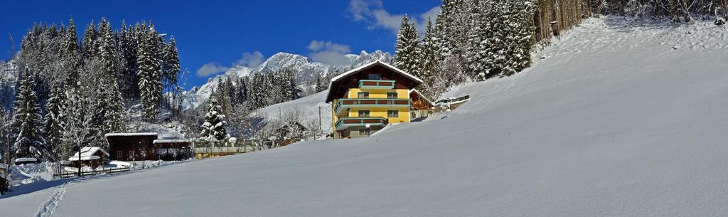 Haus Elisabeth Bed & Breakfast Muhlbach Am Hochkonig Exterior photo