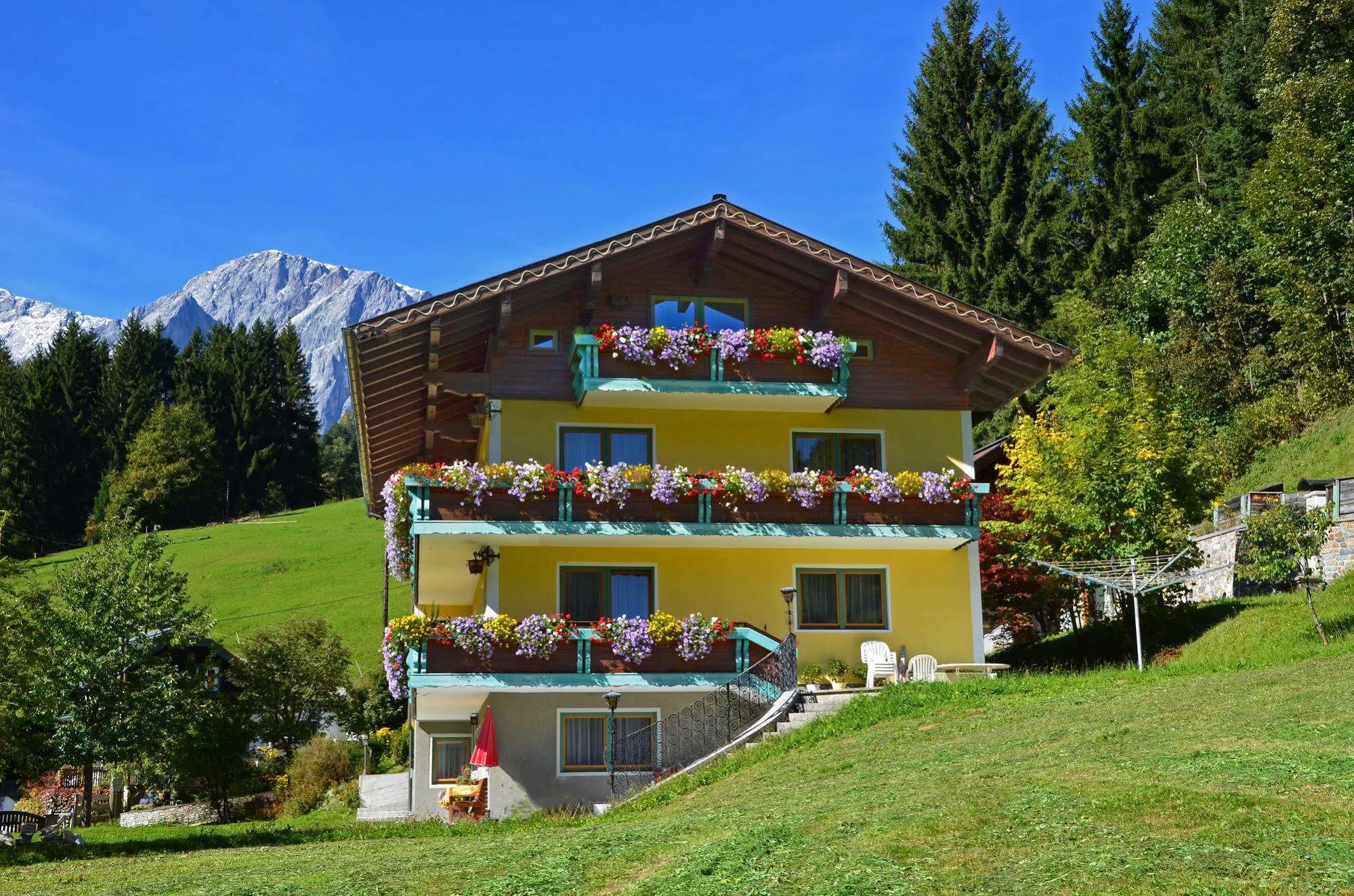 Haus Elisabeth Bed & Breakfast Muhlbach Am Hochkonig Exterior photo