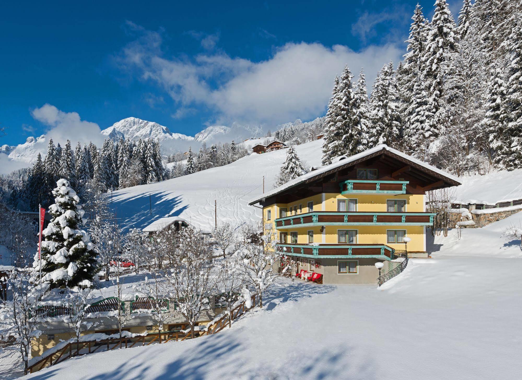 Haus Elisabeth Bed & Breakfast Muhlbach Am Hochkonig Exterior photo